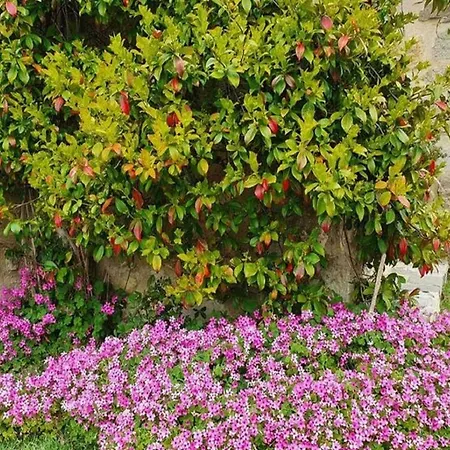 Belvilla By Oyo Vista Montagna Holiday home Seggiano